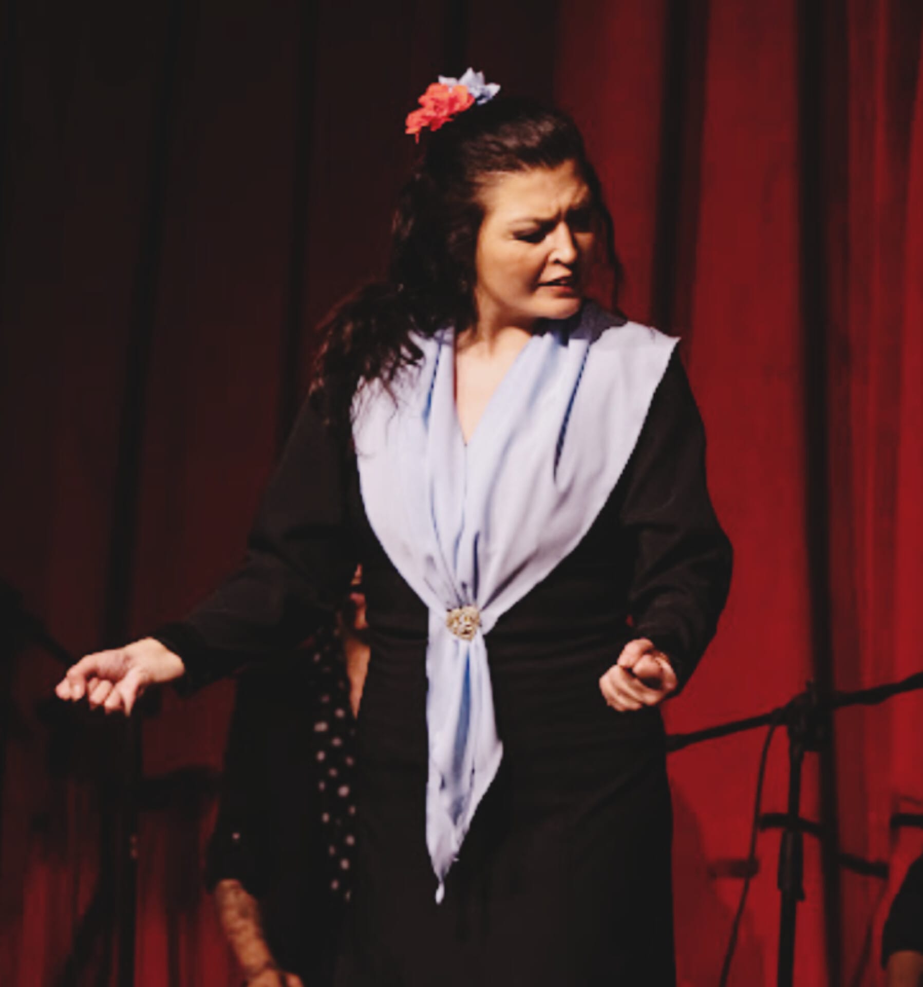 Daniela Gallardo bailaora