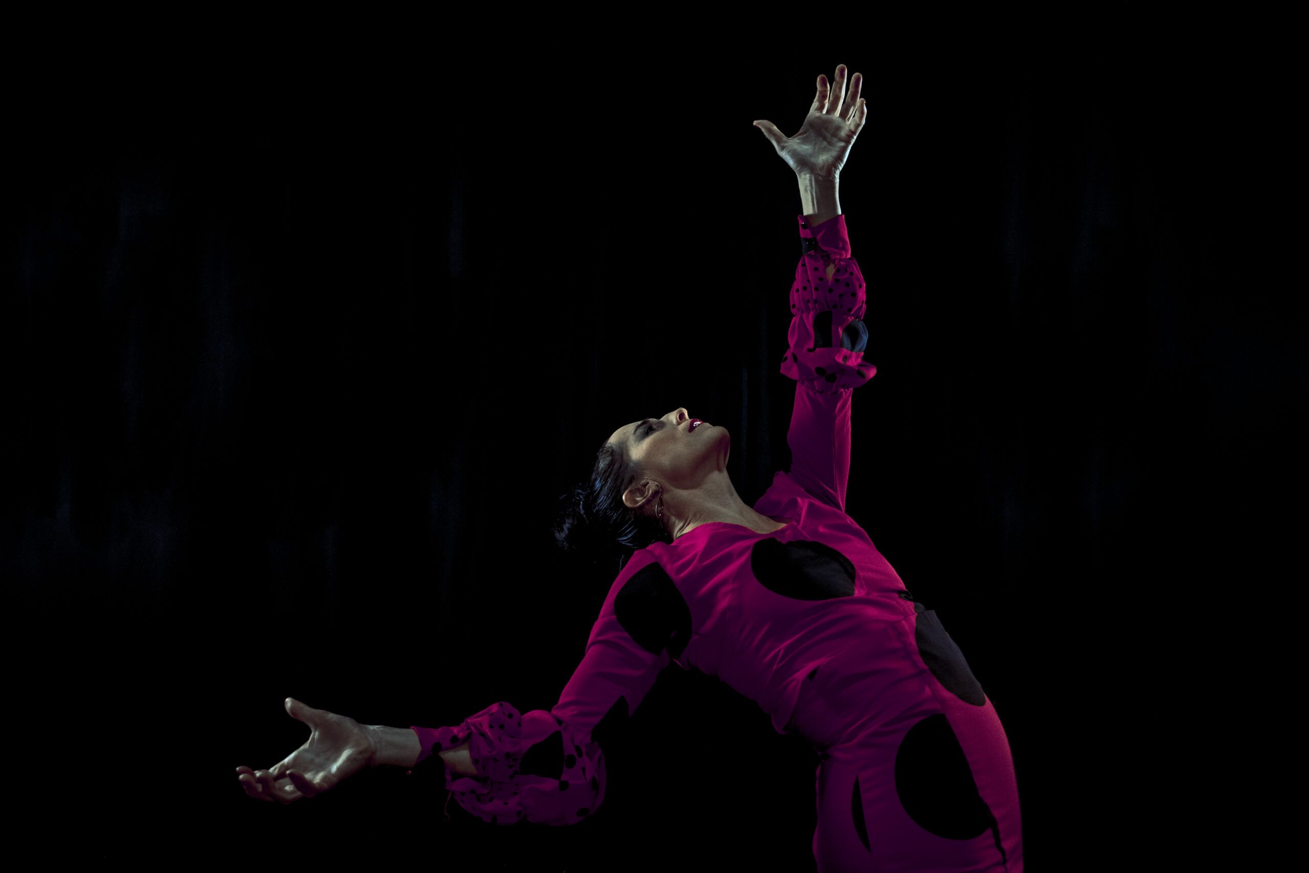 Daniela Gallardo bailaora