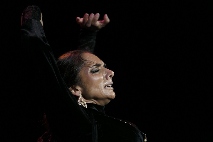 Maxi Rebman bailaor flamenco
