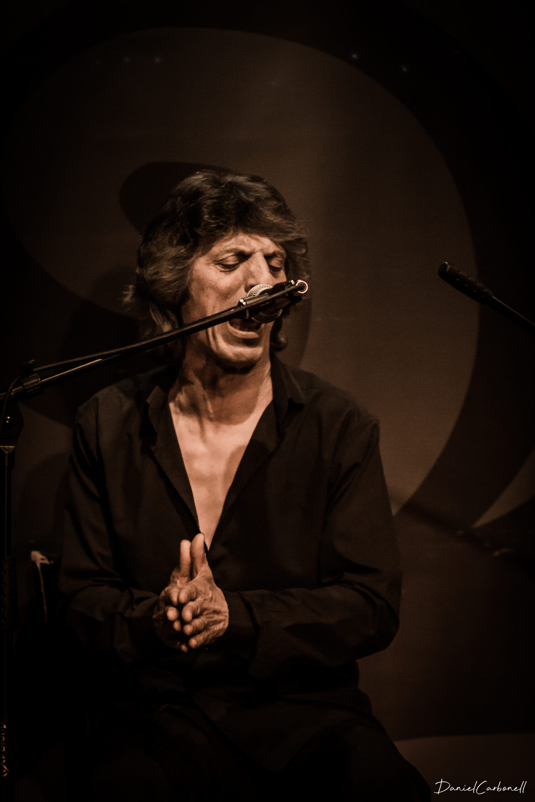 Maxi Rebman bailaor flamenco