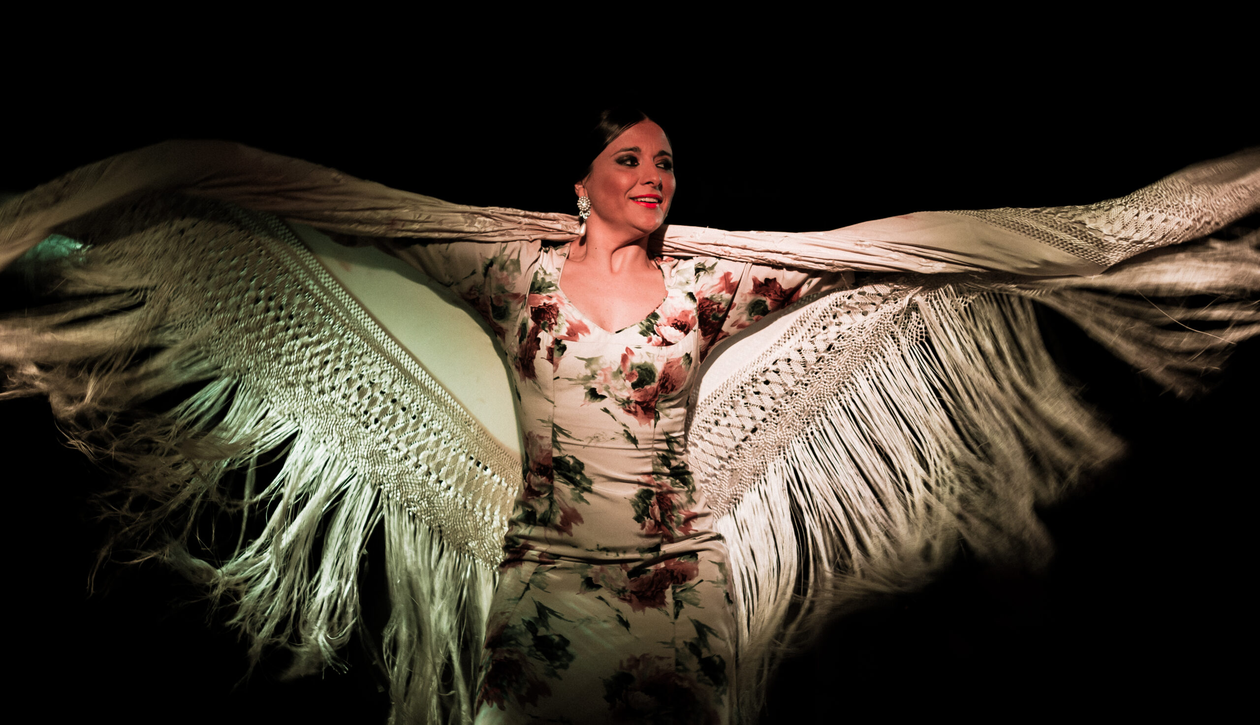 Tablao Flamenco Café Ziryab Home