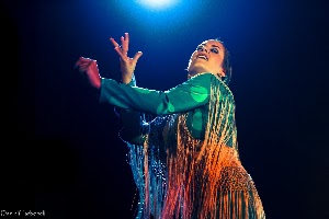 Foto de ubicación de Tablao Flamenco Café Ziryab
